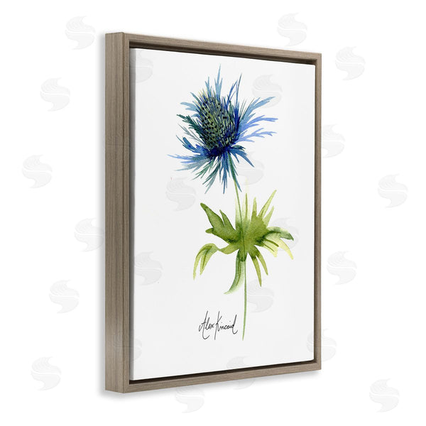 Stupell Industries Alexandria Gilbert Kincaid | Minimal Thistle Flower Wall Art