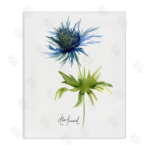 stupell industries Alexandria Gilbert Kincaid | Minimal Thistle Flower Wall Art
