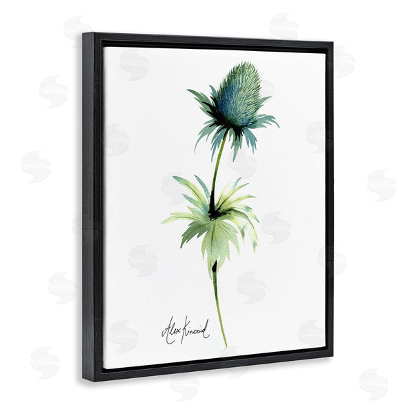 Stupell Industries Alexandria Gilbert Kincaid | Simple Thistle Plant Wall Art