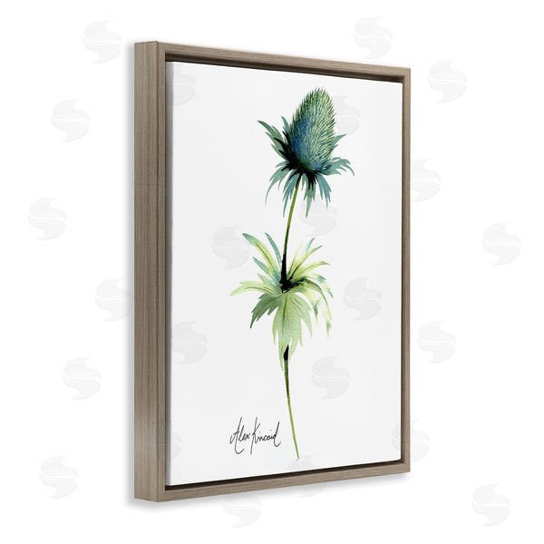 Stupell Industries Alexandria Gilbert Kincaid | Simple Thistle Plant Wall Art