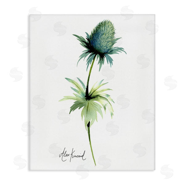stupell industries Alexandria Gilbert Kincaid | Simple Thistle Plant Wall Art