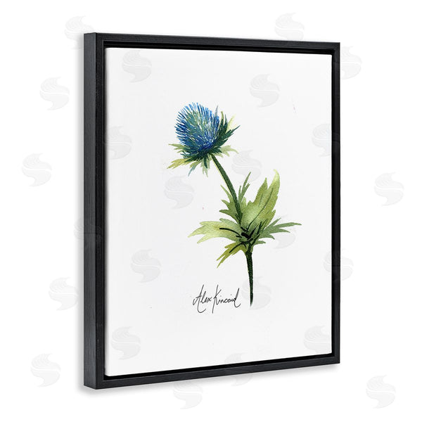 Stupell Industries Alexandria Gilbert Kincaid | Simple Thistle Watercolor Wall Art