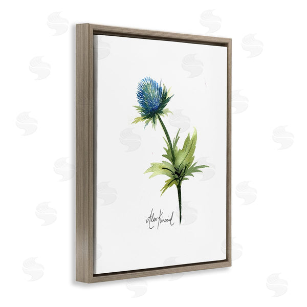 Stupell Industries Alexandria Gilbert Kincaid | Simple Thistle Watercolor Wall Art