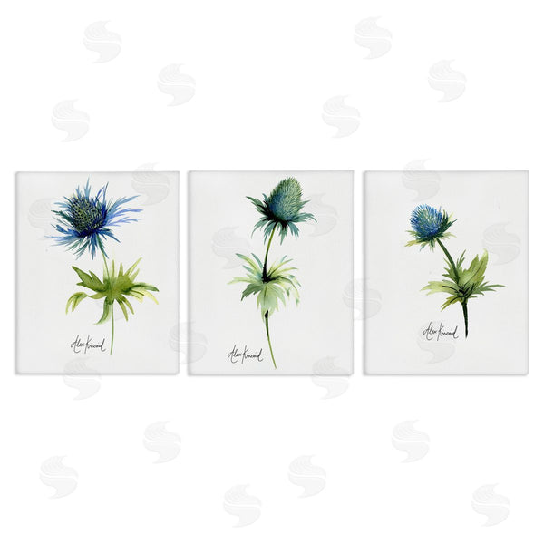stupell industries Alexandria Gilbert Kincaid | Thistle Watercolors on White Wall Art