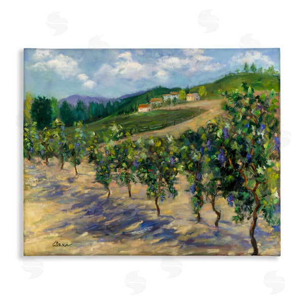 stupell industries Alexi Fine | Rural Vineyard Painting