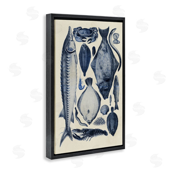 Stupell Industries Alicia Longley | Scientific Marine Life Chart