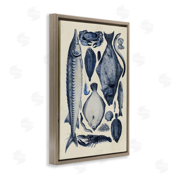 Stupell Industries Alicia Longley | Scientific Marine Life Chart