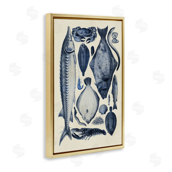 Stupell Industries Alicia Longley | Scientific Marine Life Chart