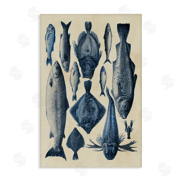 stupell industries Alicia Longley | Traditional Blue Fish Chart