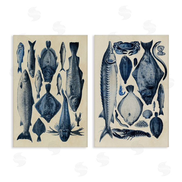 Stupell Industries Alicia Longley | Various Vintage Blue Fish Chart