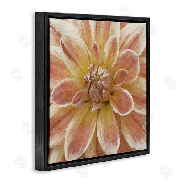 Stupell Industries Alonzo Saunders | Blooming Petals Close Up Wall Art
