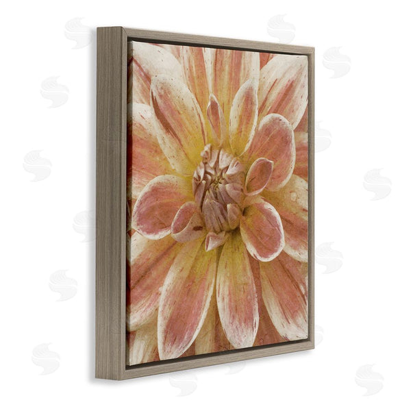 Stupell Industries Alonzo Saunders | Blooming Petals Close Up Wall Art