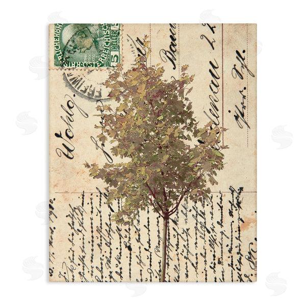 stupell industries Alonzo Saunders | Country Vintage Postal Card Autumn Tree
