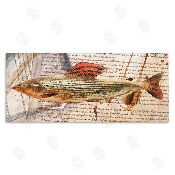 stupell industries Alonzo Saunders | Fish with Vintage Text Wall Art