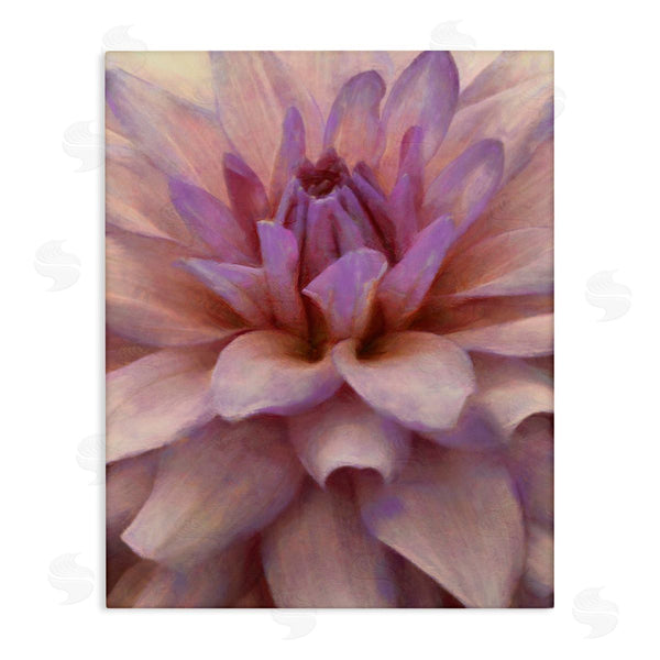 stupell industries Alonzo Saunders | Purple Dahlia Petals