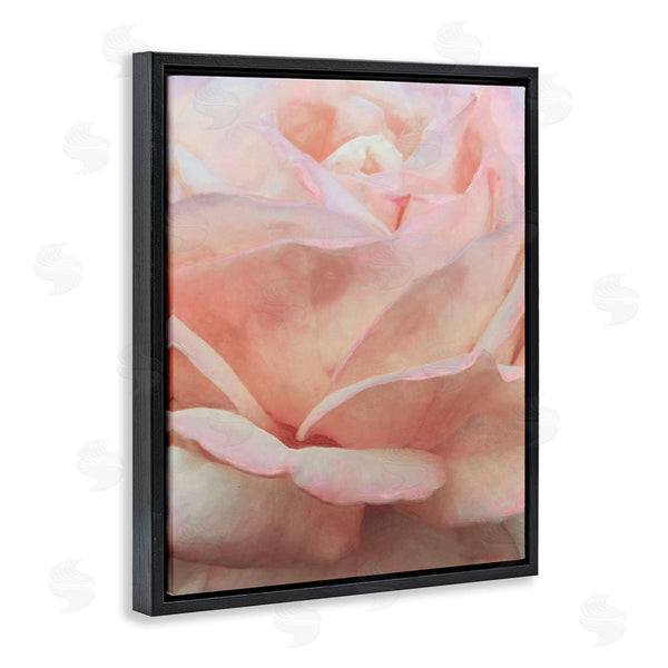 Stupell Industries Alonzo Saunders | Soft Rose Petals