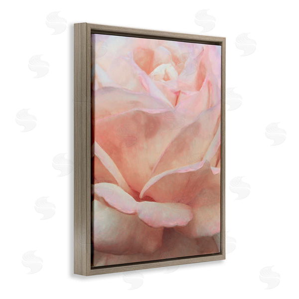 Stupell Industries Alonzo Saunders | Soft Rose Petals