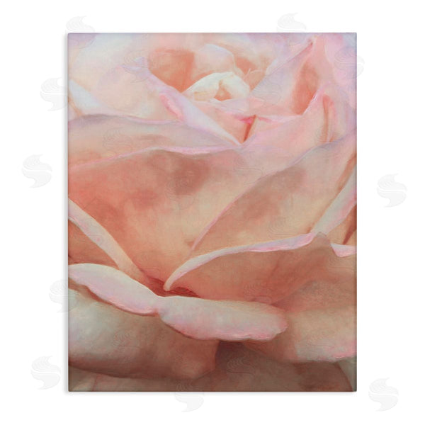 stupell industries Alonzo Saunders | Soft Rose Petals