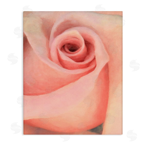 stupell industries Alonzo Saunders | Spiral Rose Anther