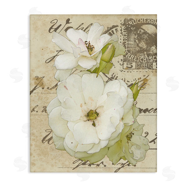 stupell industries Alonzo Saunders | White Country Florals over Vintage Postal Card
