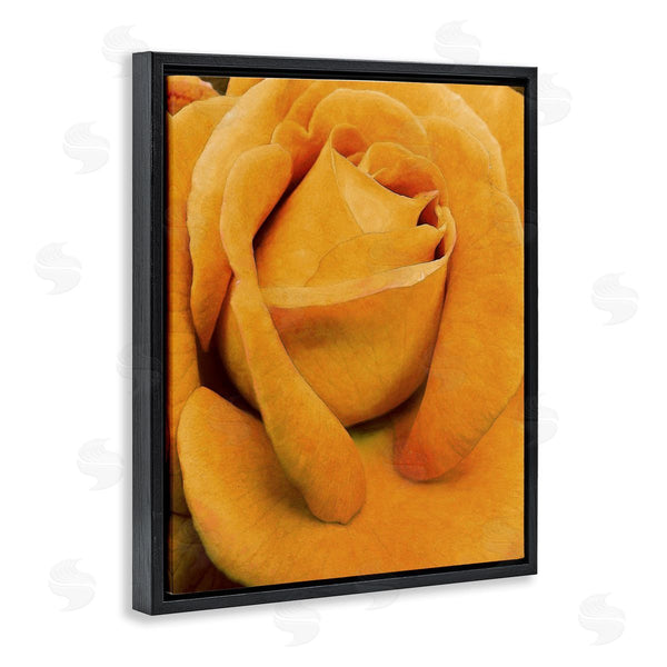 Stupell Industries Alonzo Saunders | Yellow Rose Close Up