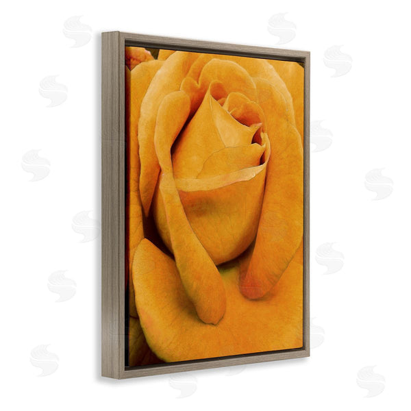 Stupell Industries Alonzo Saunders | Yellow Rose Close Up