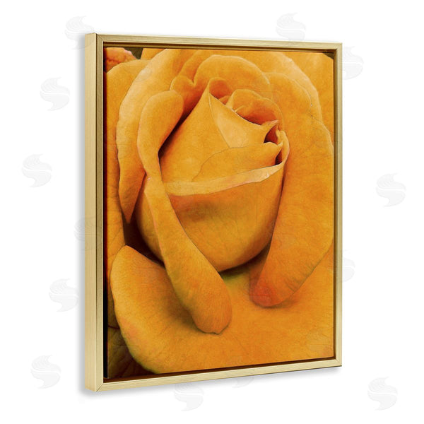 Stupell Industries Alonzo Saunders | Yellow Rose Close Up