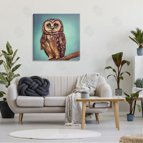 Stupell Industries Alpenglow Workshop | Beautiful Owl Wildlife Portrait Wall Art