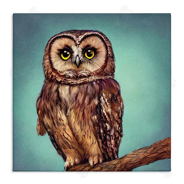 stupell industries Alpenglow Workshop | Beautiful Owl Wildlife Portrait Wall Art