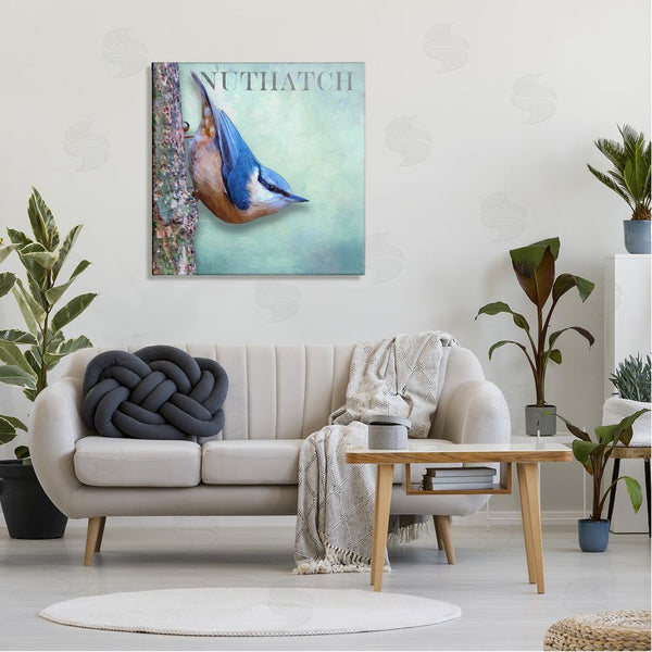 Stupell Industries Alpenglow Workshop | Blue Nuthatch Bird Climbing Tree Forest Wildlife Wall Art