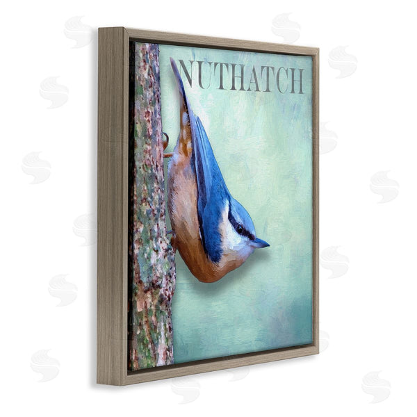 Stupell Industries Alpenglow Workshop | Blue Nuthatch Bird Climbing Tree Forest Wildlife Wall Art