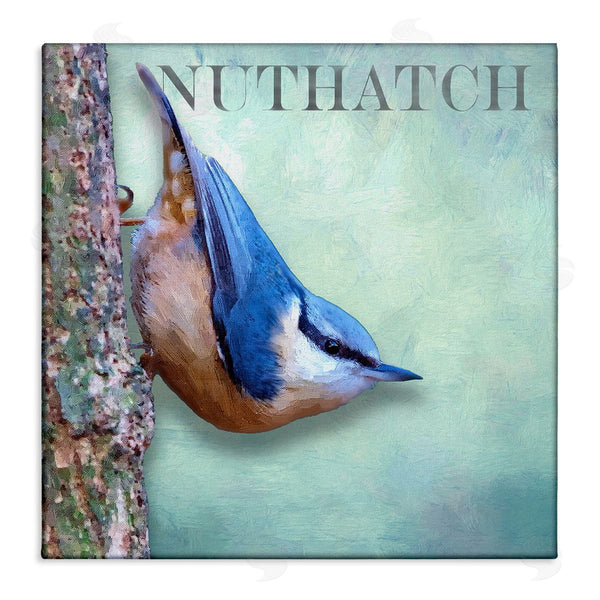 stupell industries Alpenglow Workshop | Blue Nuthatch Bird Climbing Tree Forest Wildlife Wall Art
