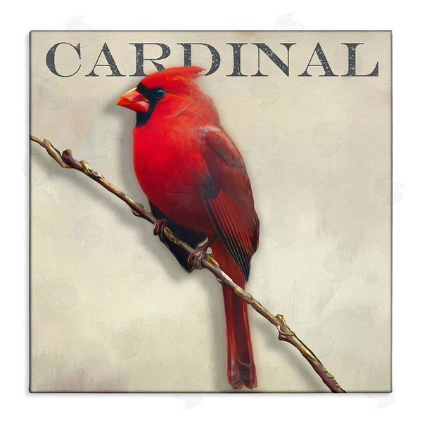 stupell industries Alpenglow Workshop | Bold Red Cardinal Bird Portrait Rustic Text Design Wall Art