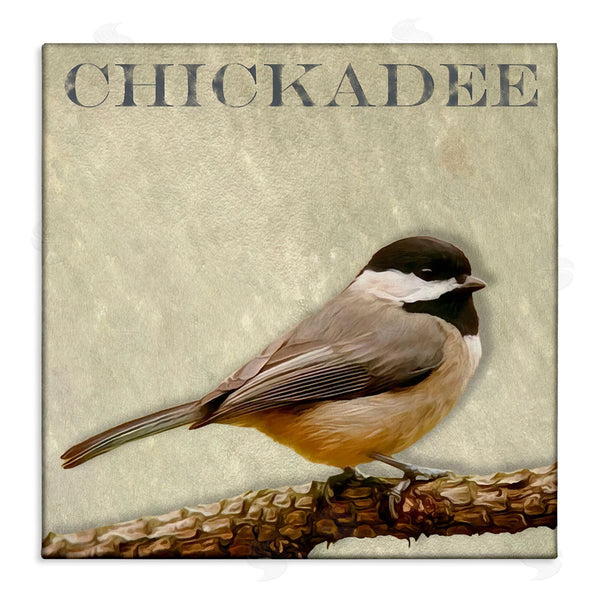 stupell industries Alpenglow Workshop | Chickadee Bird Tree Branch Text Illustration Wall Art