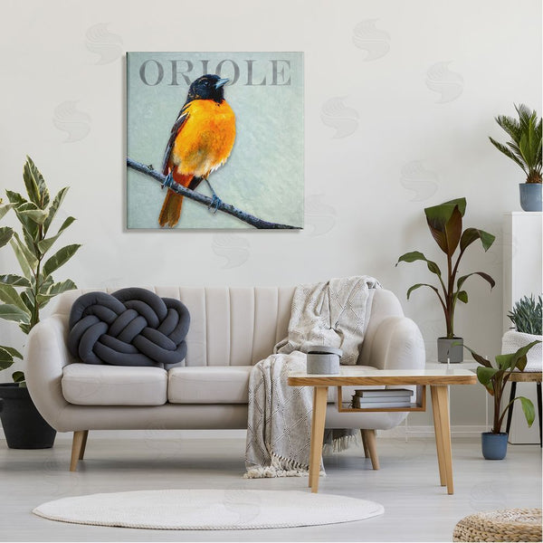 Stupell Industries Alpenglow Workshop | Detailed Oriole Bird Portrait Perched Wildlife Animal Wall Art
