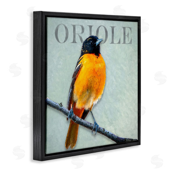 Stupell Industries Alpenglow Workshop | Detailed Oriole Bird Portrait Perched Wildlife Animal Wall Art