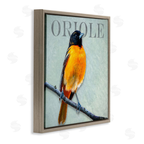 Stupell Industries Alpenglow Workshop | Detailed Oriole Bird Portrait Perched Wildlife Animal Wall Art