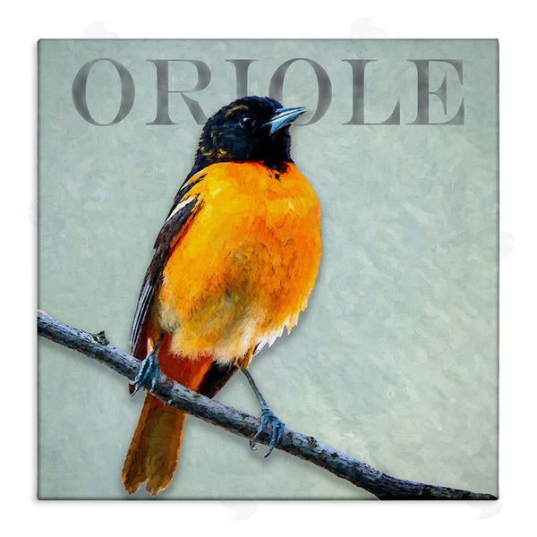stupell industries Alpenglow Workshop | Detailed Oriole Bird Portrait Perched Wildlife Animal Wall Art