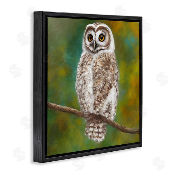 Stupell Industries Alpenglow Workshop | Detailed Wildlife Owl Bird Wall Art