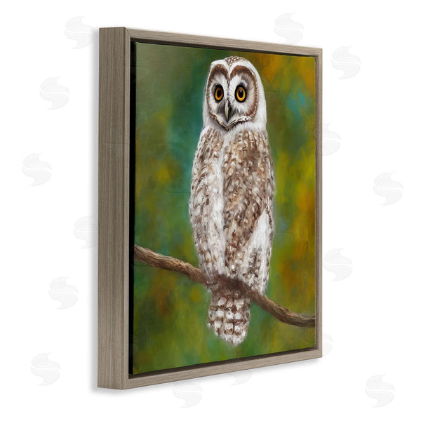 Stupell Industries Alpenglow Workshop | Detailed Wildlife Owl Bird Wall Art