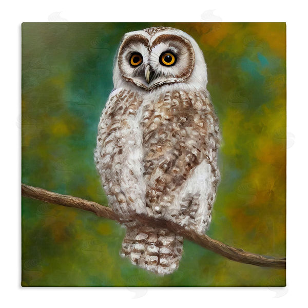 stupell industries Alpenglow Workshop | Detailed Wildlife Owl Bird Wall Art