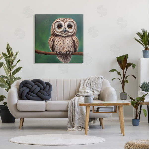 Stupell Industries Alpenglow Workshop | Gazing Spotted Owl Nature Wall Art