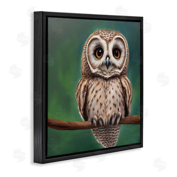 Stupell Industries Alpenglow Workshop | Gazing Spotted Owl Nature Wall Art