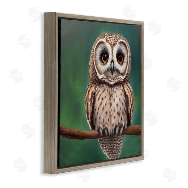Stupell Industries Alpenglow Workshop | Gazing Spotted Owl Nature Wall Art