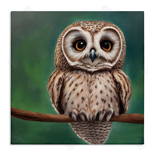 stupell industries Alpenglow Workshop | Gazing Spotted Owl Nature Wall Art