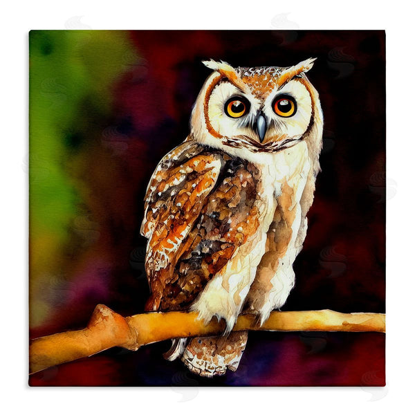 stupell industries Alpenglow Workshop | Intense Owl Gazing Perched Wall Art