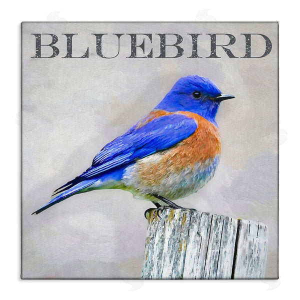 stupell industries Alpenglow Workshop | Vivid Bluebird Standing Birch Tree Rustic Text Wall Art