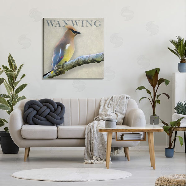 Stupell Industries Alpenglow Workshop | Waxwing Bird Perched Wildlife Breed Typography Wall Art