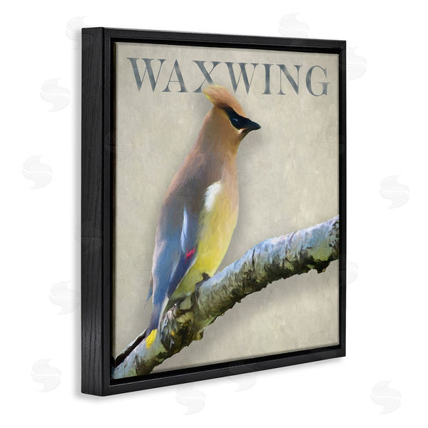 Stupell Industries Alpenglow Workshop | Waxwing Bird Perched Wildlife Breed Typography Wall Art