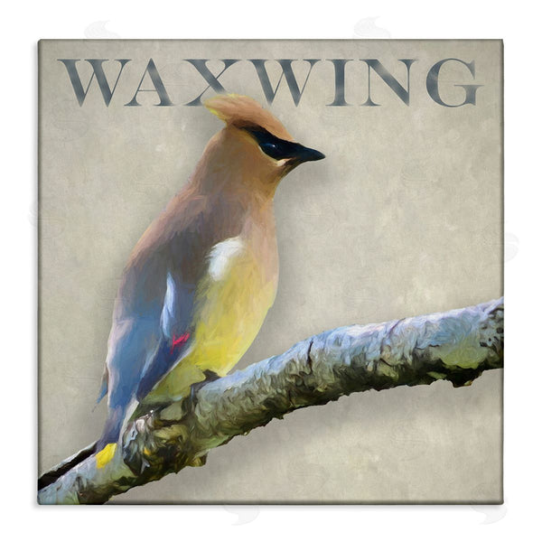 stupell industries Alpenglow Workshop | Waxwing Bird Perched Wildlife Breed Typography Wall Art